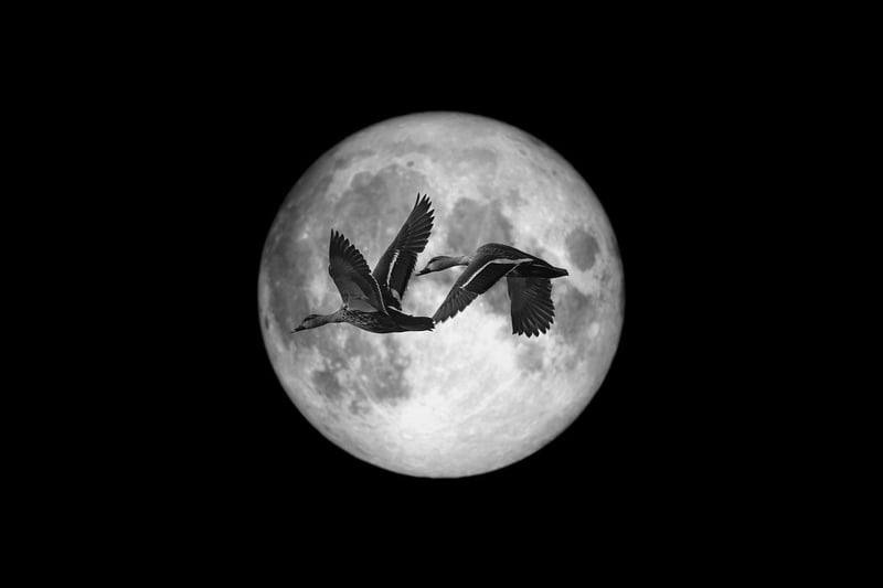 Moonlit Messages